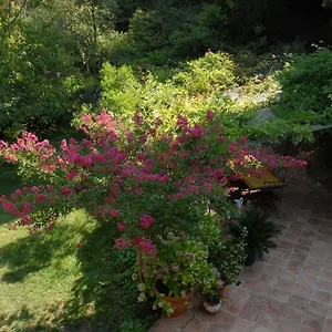 Bed & Breakfast D'hotes Il Monticello